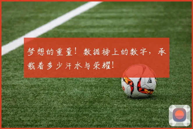 梦想的重量!数据榜上的数字,承载着多少汗水与荣耀!